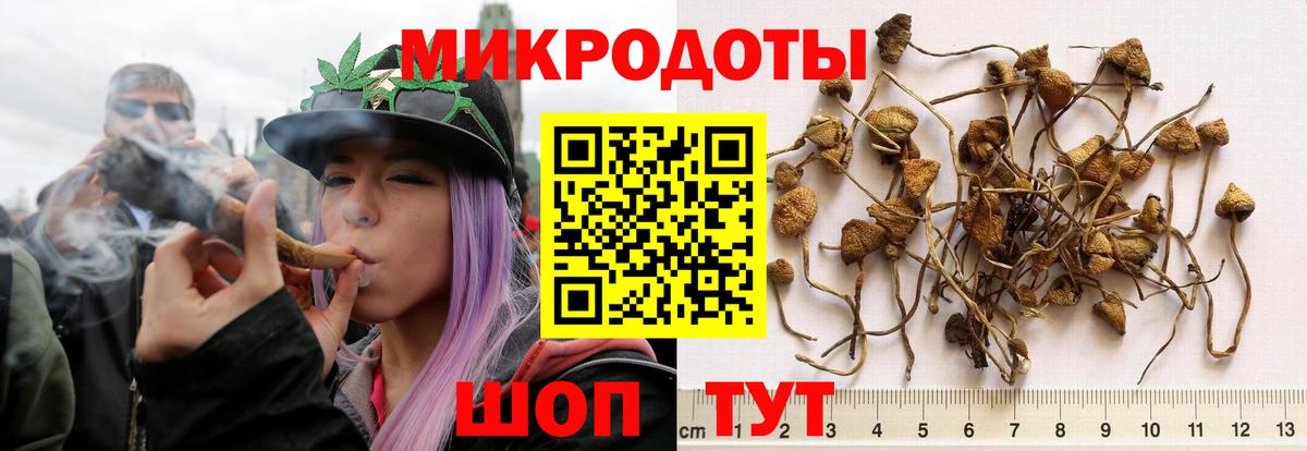 Псилоцибиновые грибы MAGIC MUSHROOMS  Вход с VPN  Жуковский 